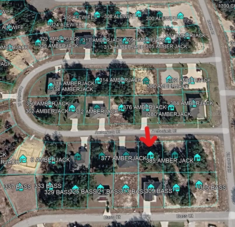 377 Amberjack Ct., Kissimmee, FL 34759