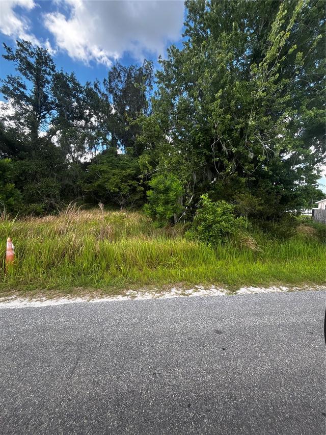 Lee St., Bowling Green, FL 33834