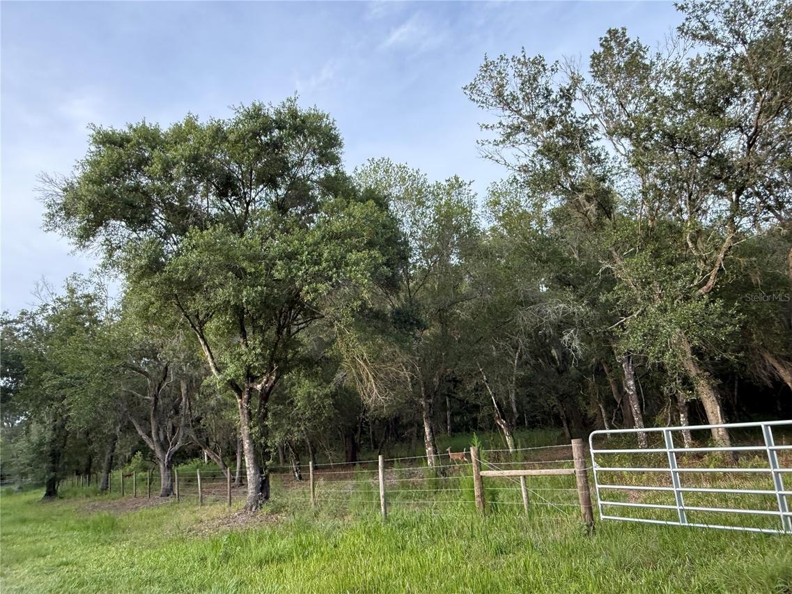Se Brown Rd., Arcadia, FL 34266