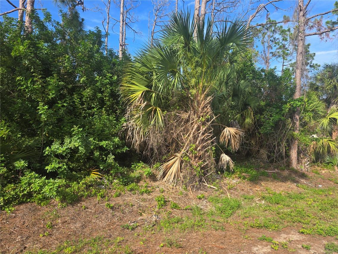 Pronto Ln., North Port, FL 34286