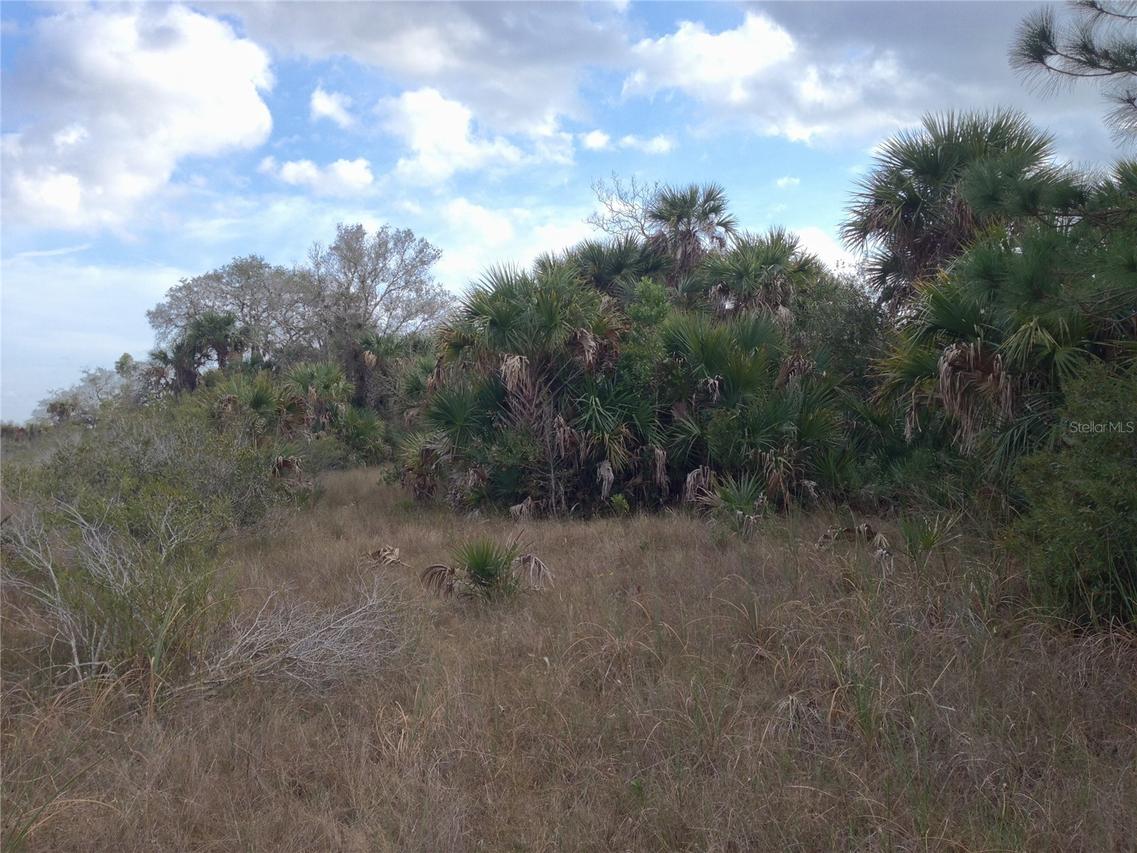 50670 Bermont Rd., Punta Gorda, FL 33982