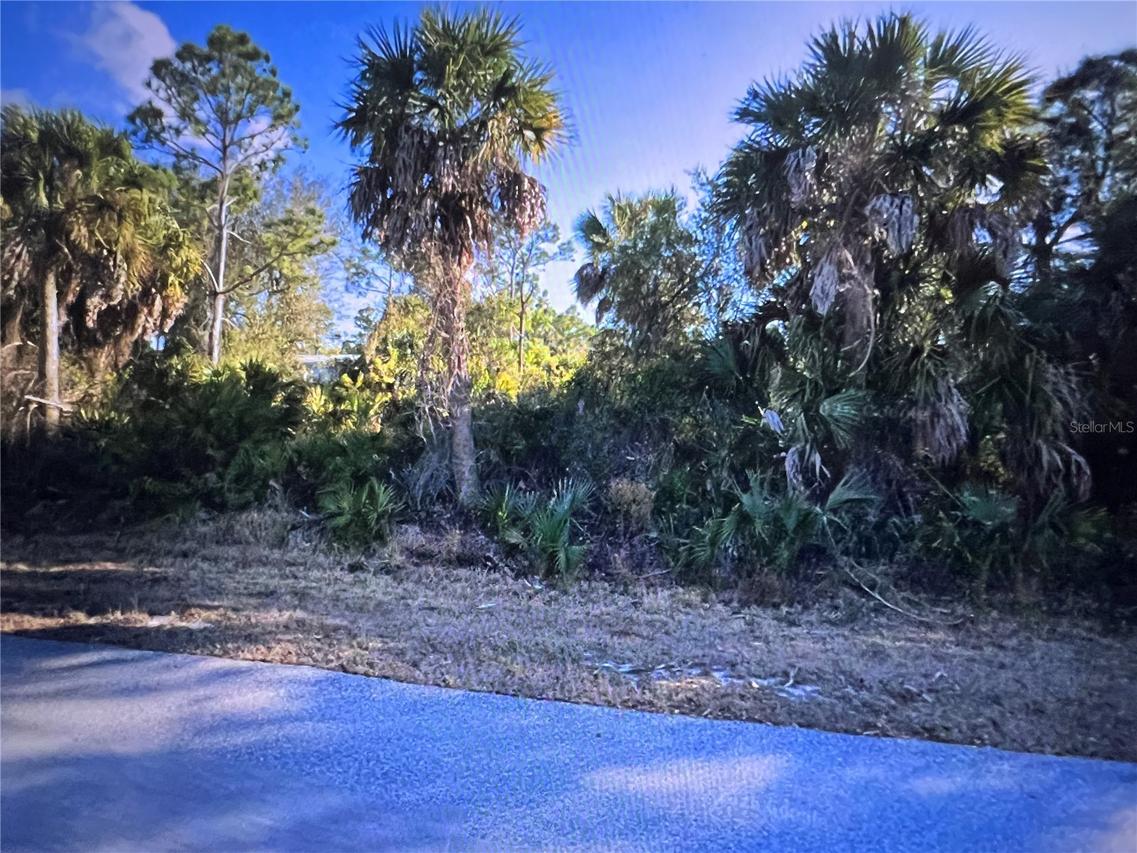 26319 Brooks Rd., Punta Gorda, FL 33955