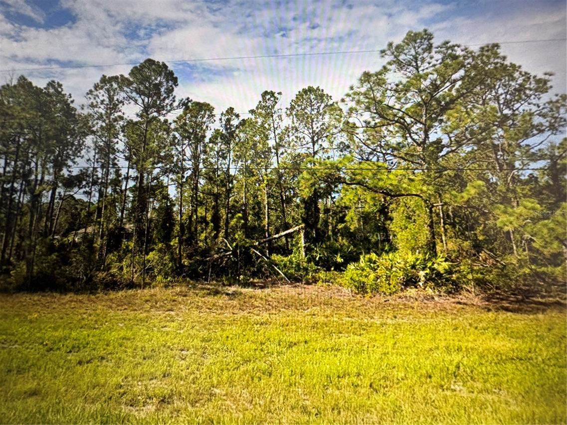 Tropicaire Blvd., North Port, FL 34291