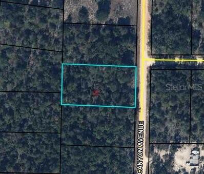 Canyon Ave., Alford, FL 32420