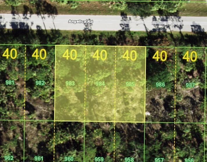 26215 Angelica Rd., Punta Gorda, FL 33955