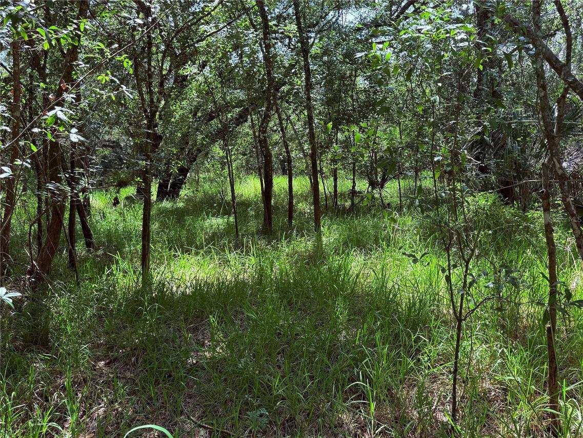 NE Ne River Ridge Ave., Arcadia, FL 34266