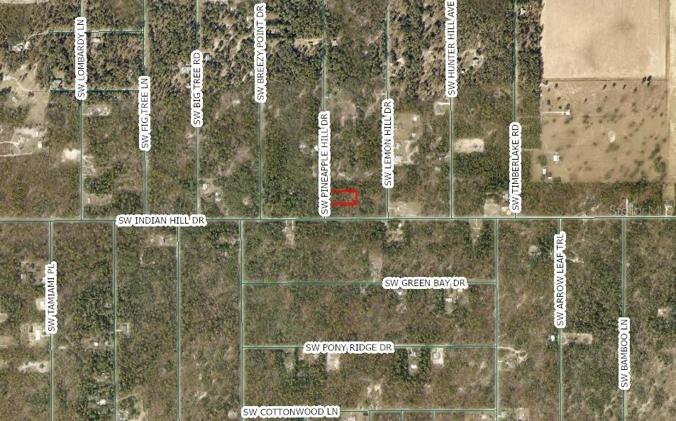 SW Pineapple Hill Dr., Dunnellon, FL 34431