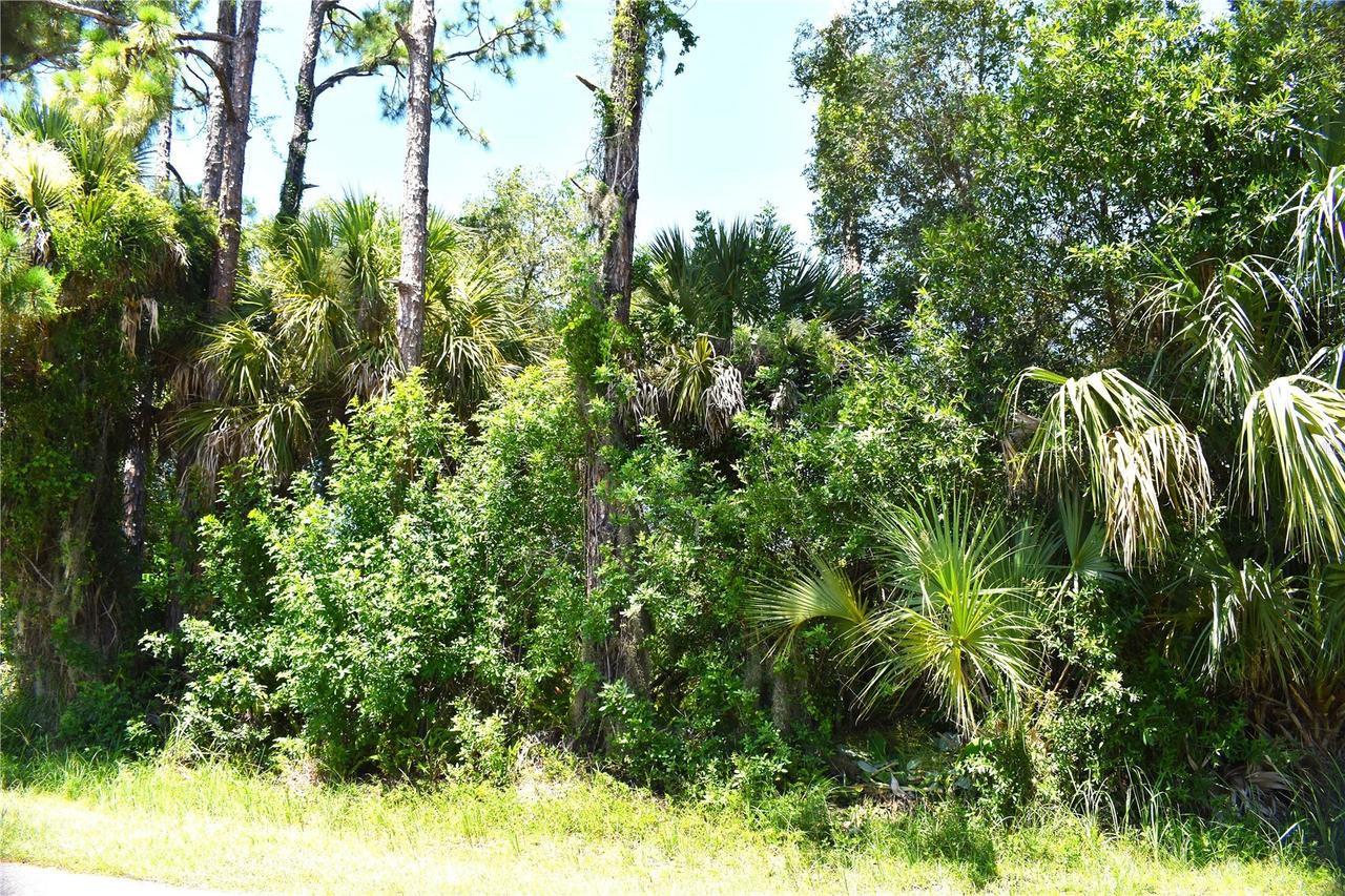 Mctague St., North Port, FL 34291