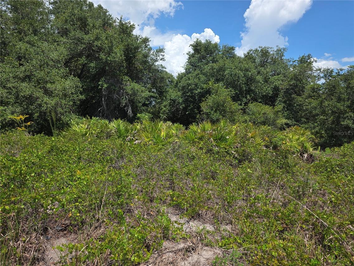 1297 Sulstone Dr., Punta Gorda, FL 33983