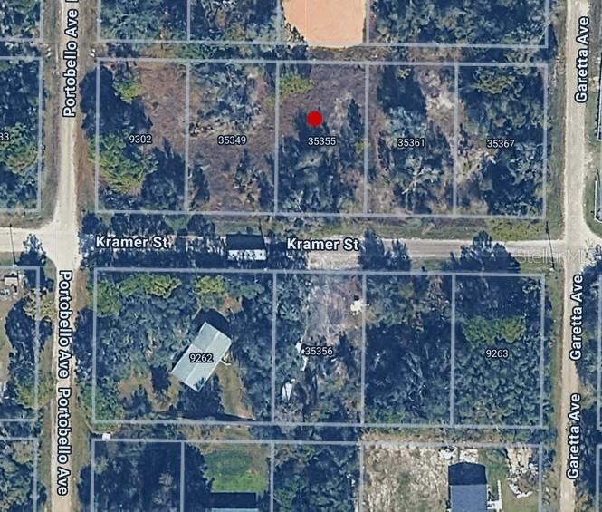 35355 Kramer St., Webster, FL 33597
