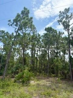 13214 Sulky Dr., Punta Gorda, FL 33955