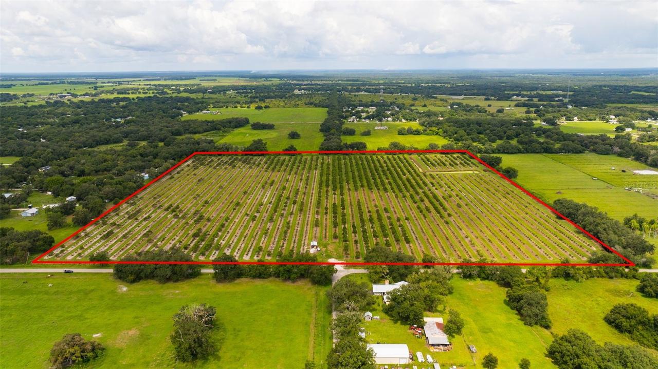 SW Carlton Ave., Arcadia, FL 34266