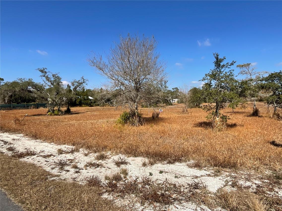 490 Hobbs Dr., Venus, FL 33960