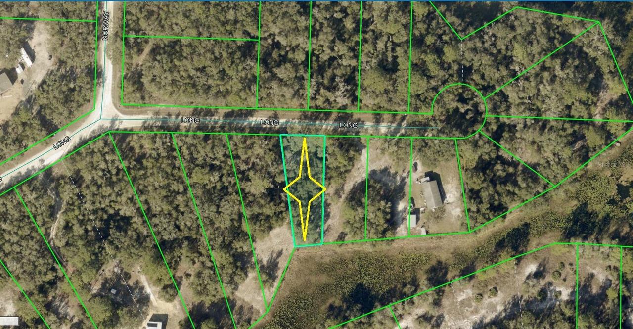 Lot 10 Long Cir., Webster, FL 33597