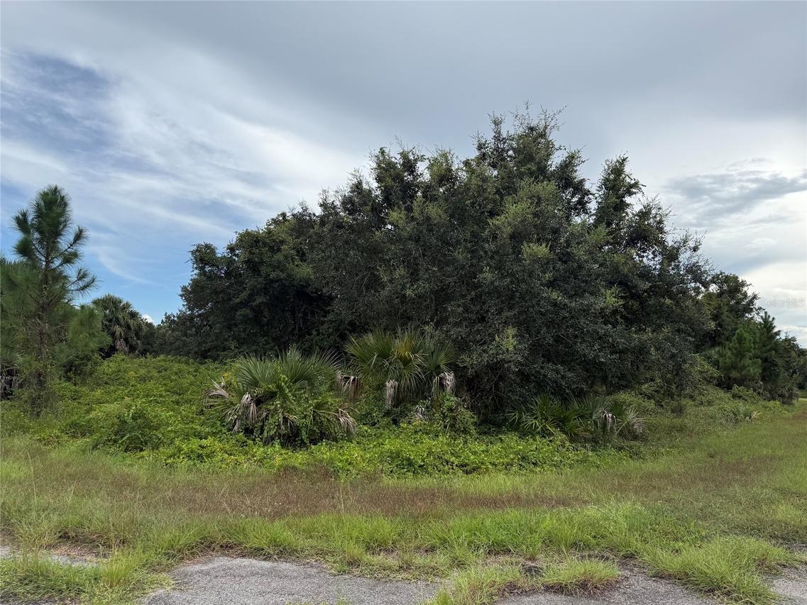 Lot 1 Gaskins Cir., North Port, FL 34288
