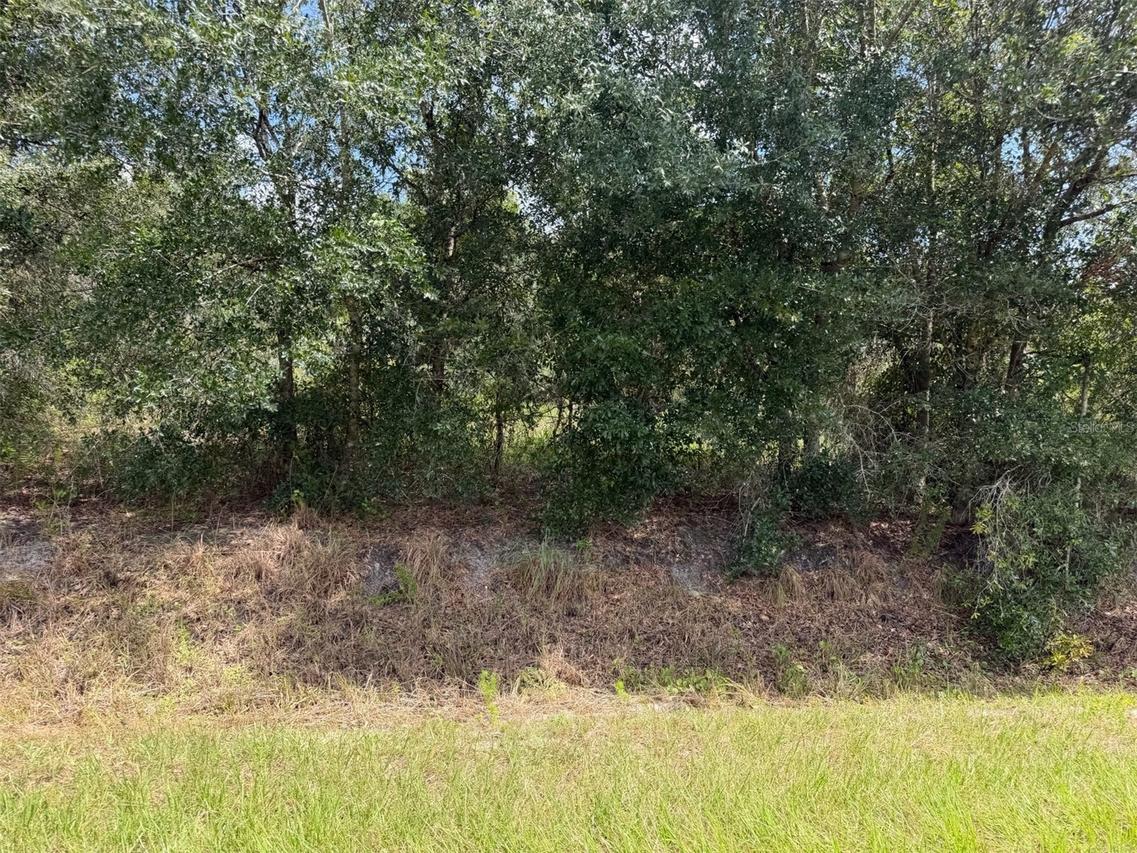 21971 NW 260th St., Okeechobee, FL 34972