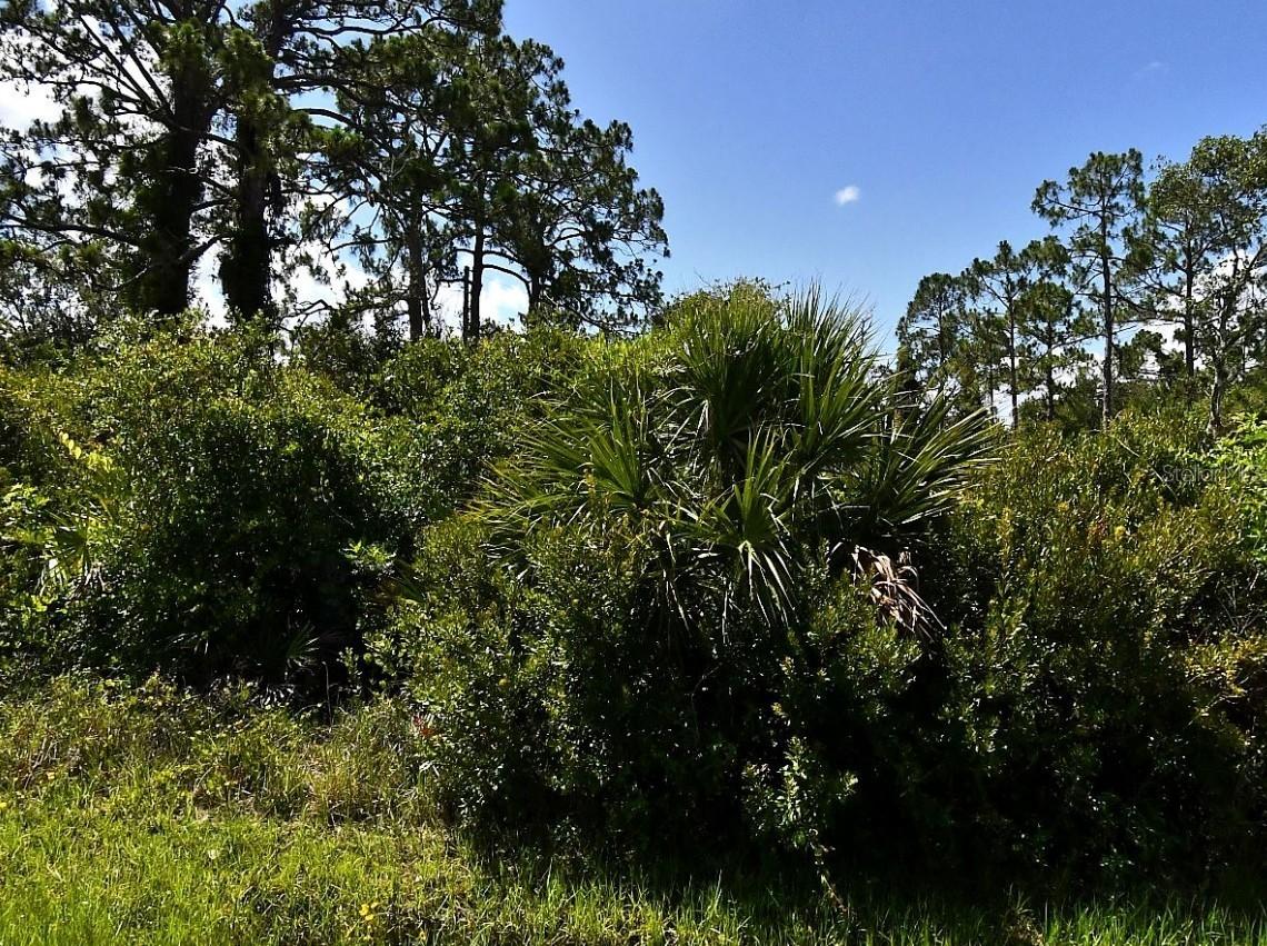 De Miranda Ave., North Port, FL 34287