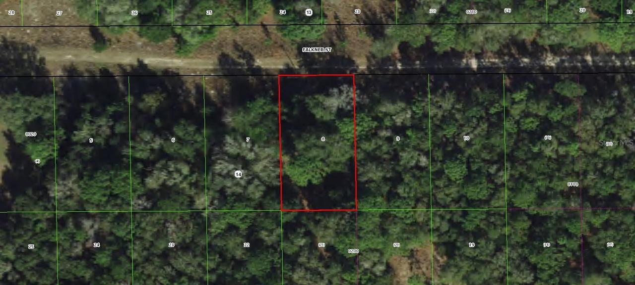 1913 Falkner St., Inverness, FL 34453