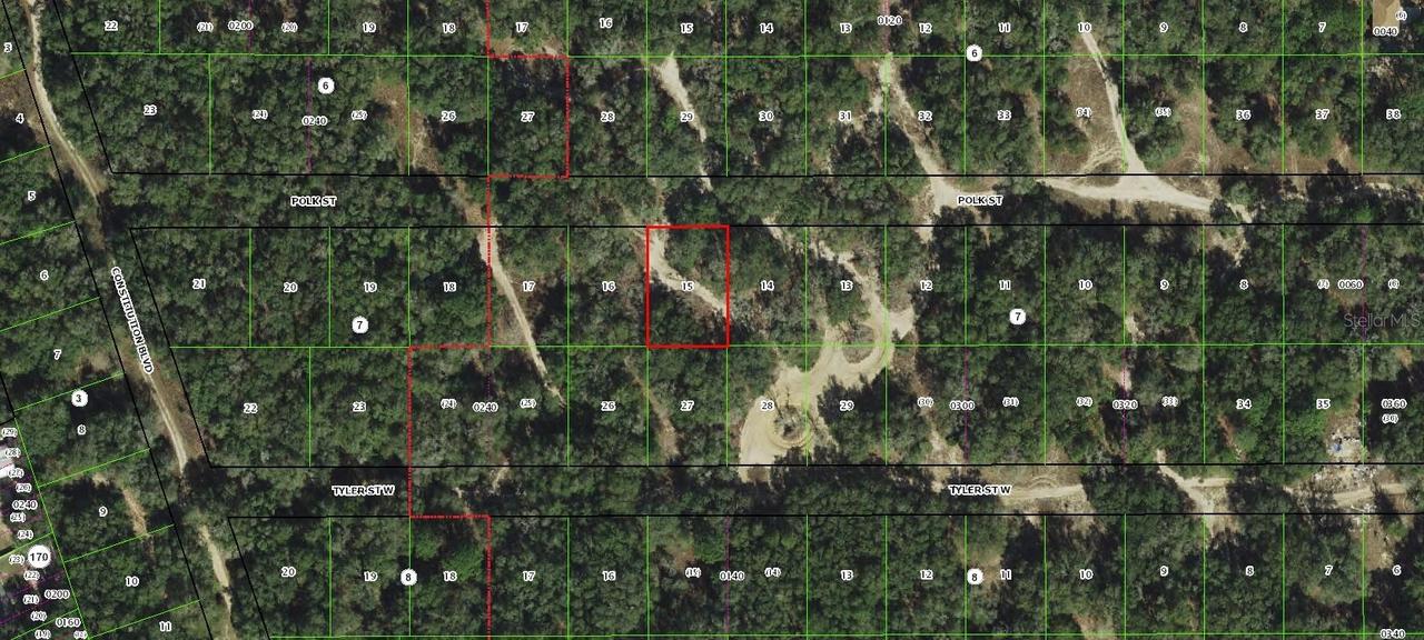 3003 Polk St., Inverness, FL 34453