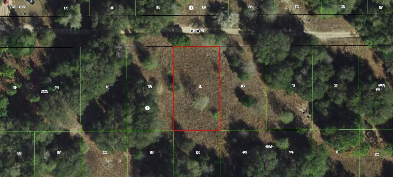 2407 Tyler St., Inverness, FL 34453