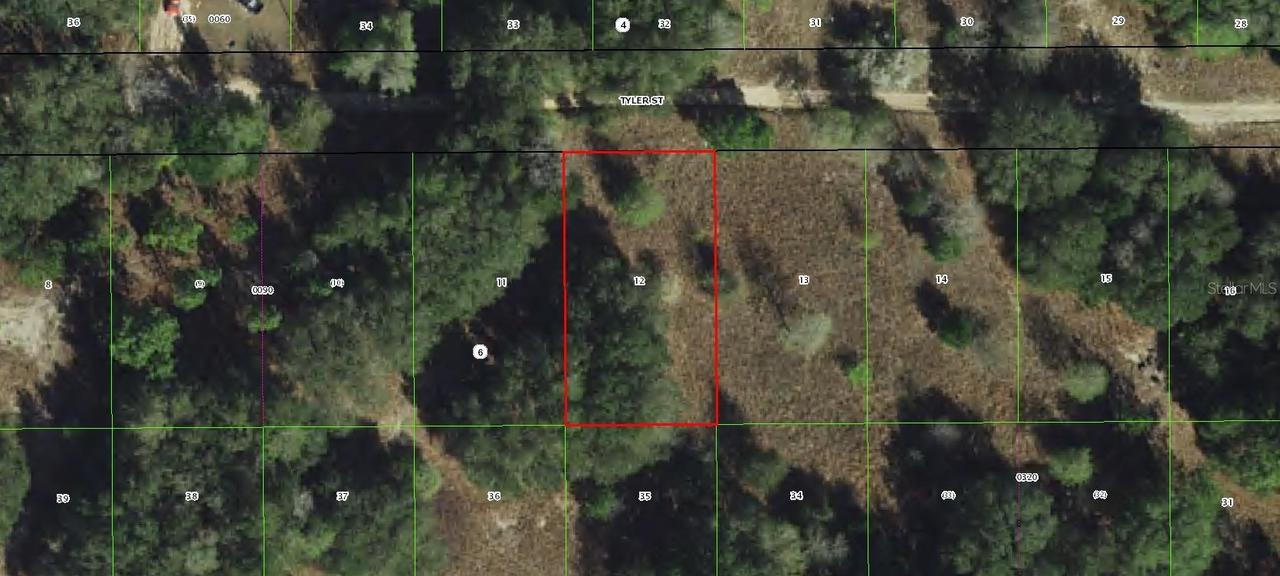 2409 Tyler St., Inverness, FL 34453