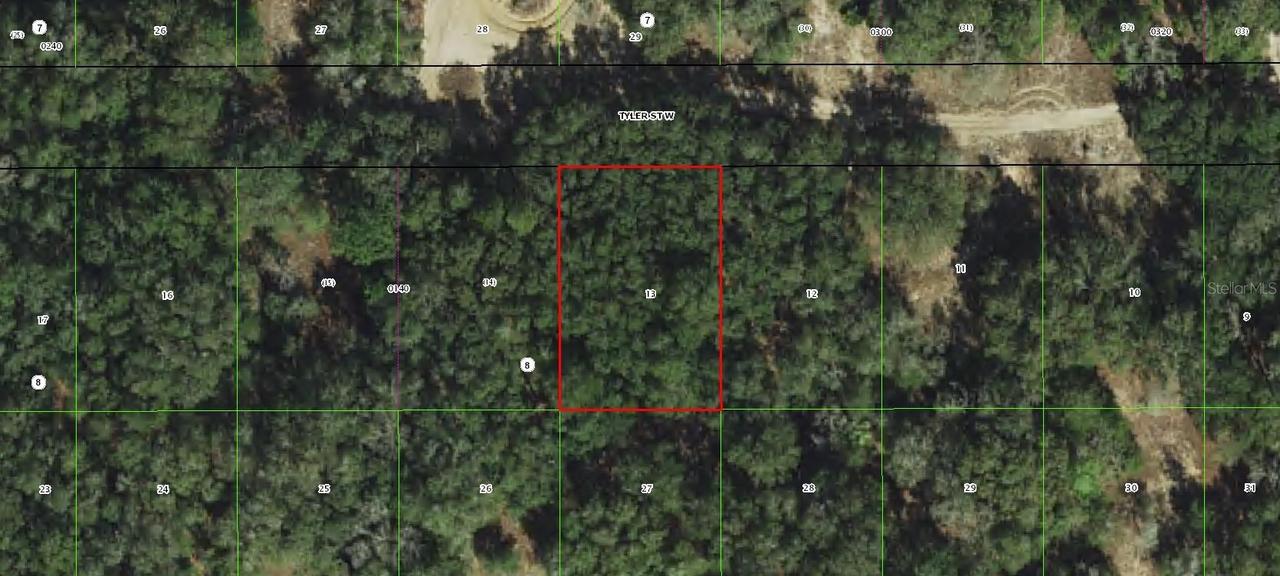 2911 Tyler St., Inverness, FL 34453