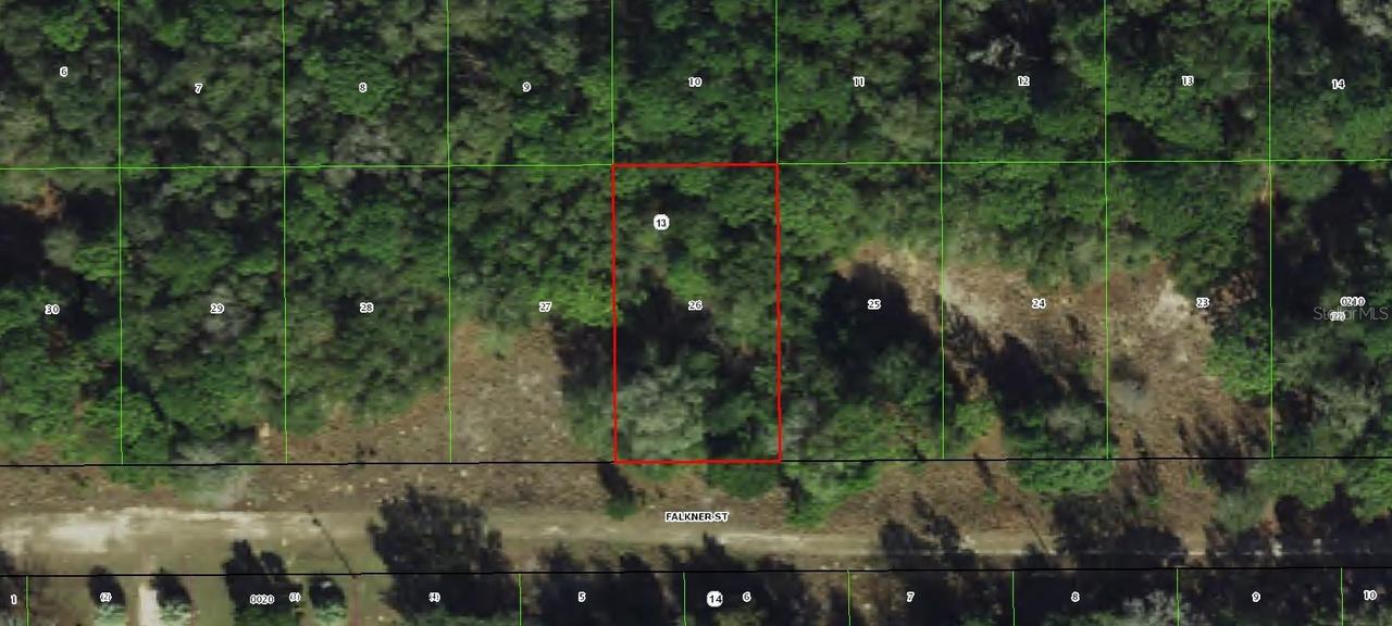 2006 Falkner St., Inverness, FL 34453