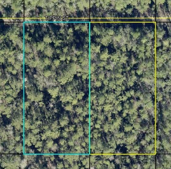 Tract 596 Tippin St, Hastings, FL 32145