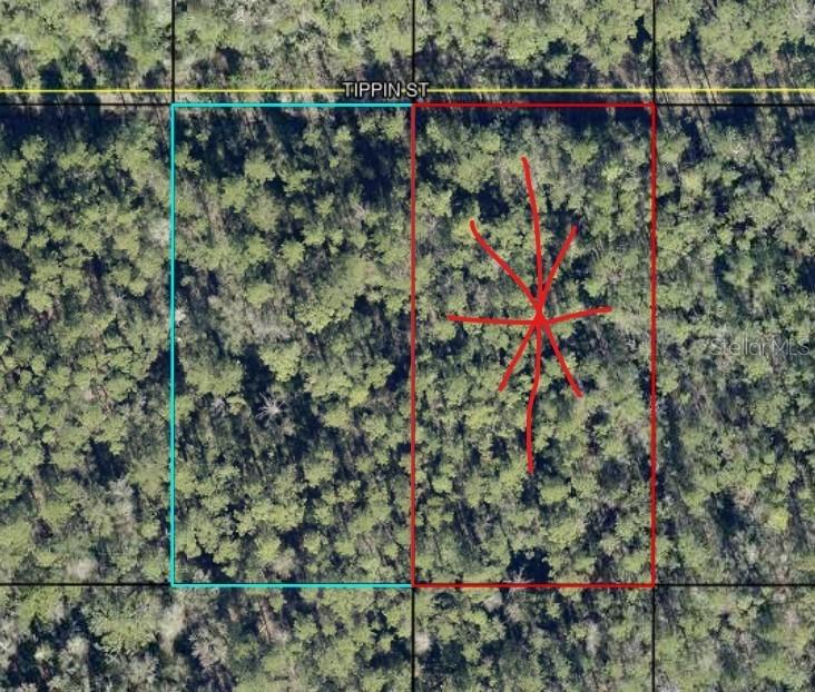 Tract 597 Tippin St, Hastings, FL 32145