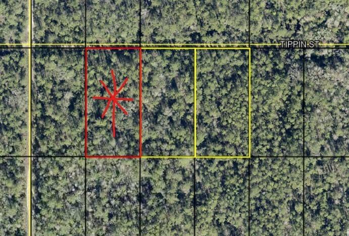 tract 601 Tippin St, Hastings, FL 32145