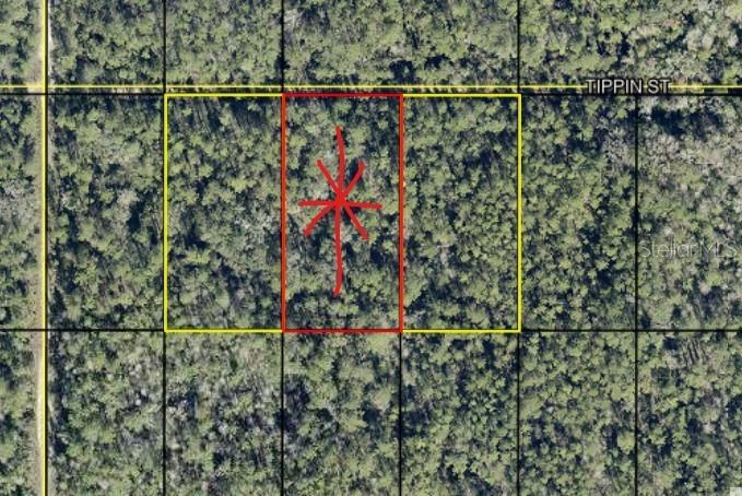 tract 602 Tippin St, Hastings, FL 32145
