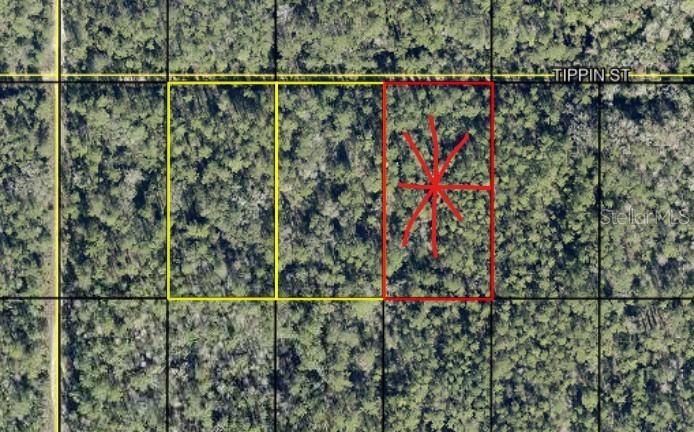 tract 603 Tippin St, Hastings, FL 32145