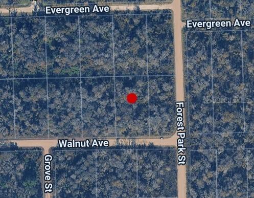3998 Walnut Ave., Bunnell, FL 32110