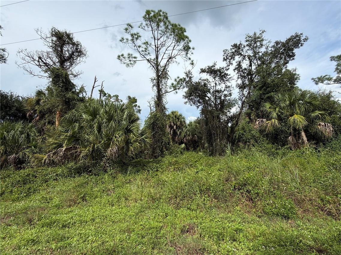 Barcelona Dr., North Port, FL 34288