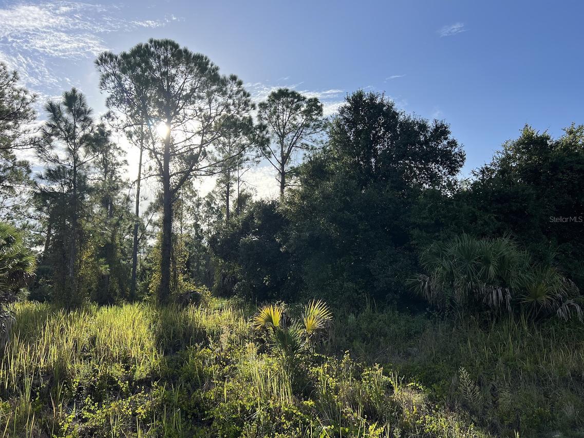 Hamerton Rd., North Port, FL 34288