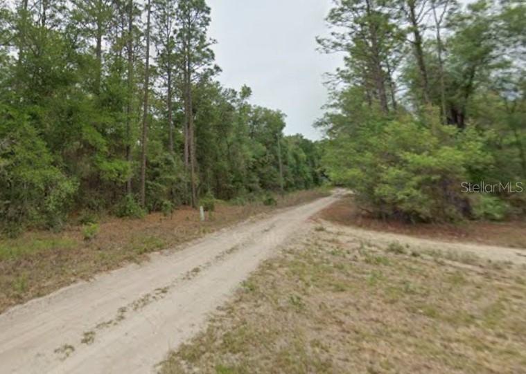 7715 & 7691 W Rainbow St., Dunnellon, FL 34433