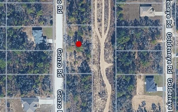 14498 Gonzo Rd., Weeki Wachee, FL 34614