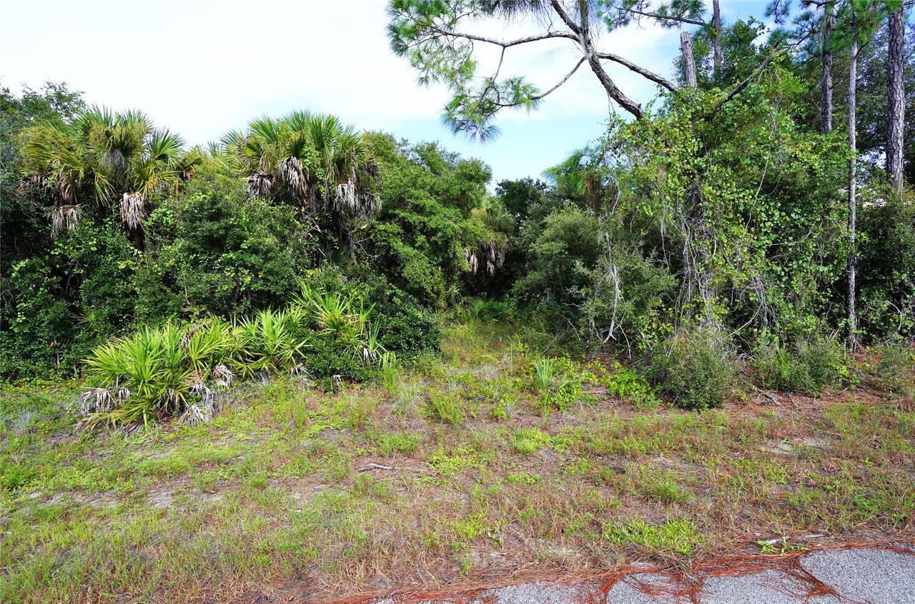 Baynes Rd., North Port, FL 34288