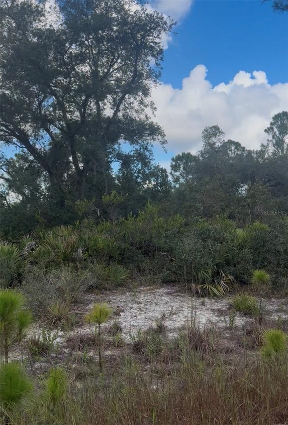 3513 Turin St., Lake Placid, FL 33852