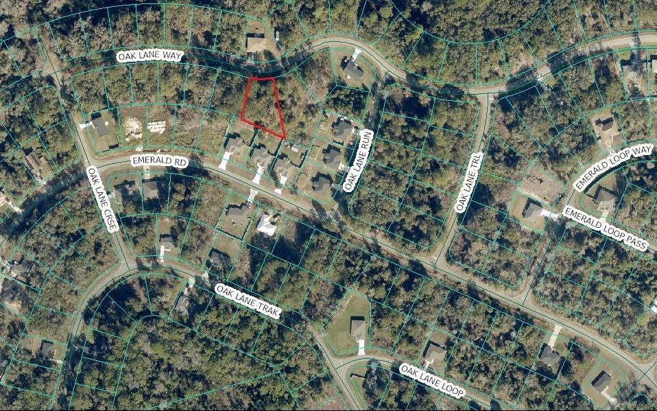 Oak Lane Way, Ocklawaha, FL 32179