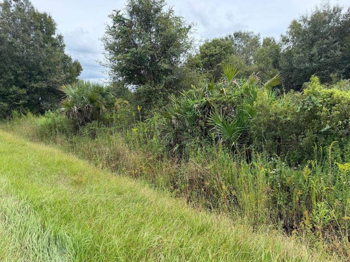14616 NW 260th St., Okeechobee, FL 34972