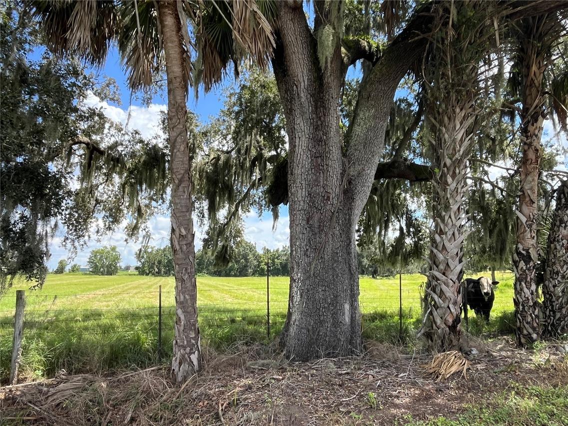 Johns Rd., Wauchula, FL 33873