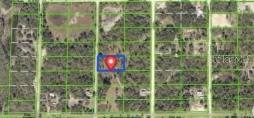 7490 Castleberry Dr., Webster, FL 33597