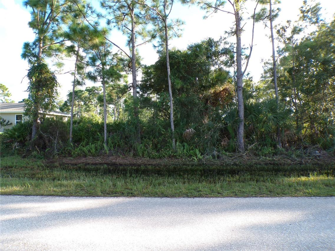 12067 Van Lenten Blvd., Port Charlotte, FL 33981