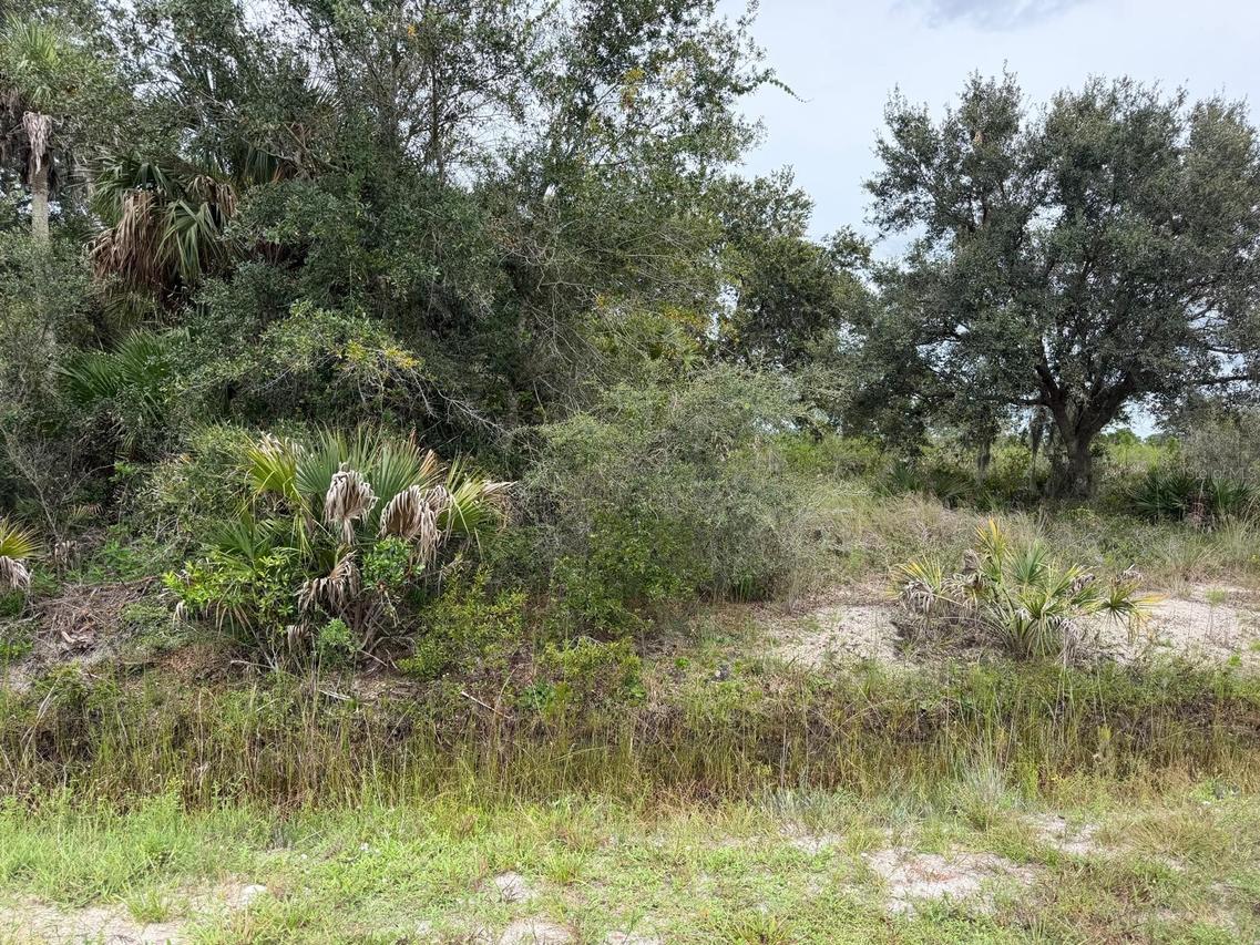 16434 NW 318th St., Okeechobee, FL 34972