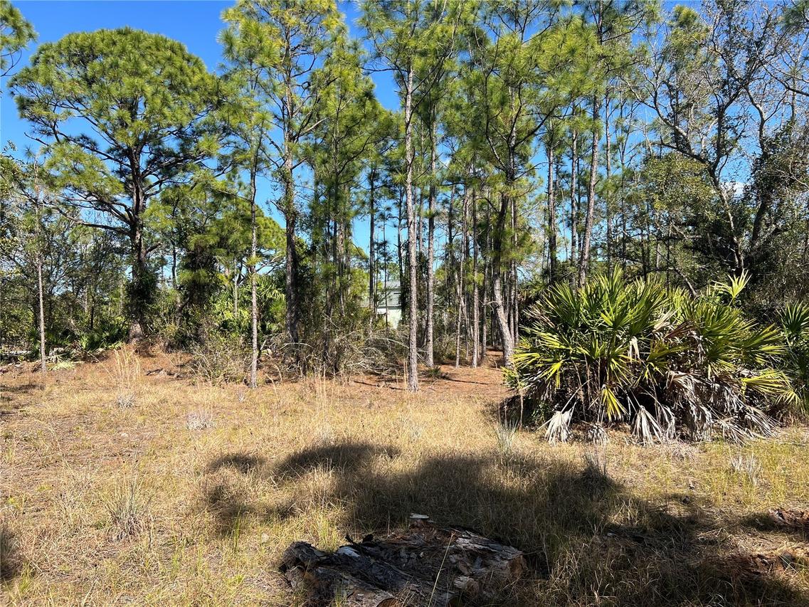 28019 Treadmill Dr., Punta Gorda, FL 33955