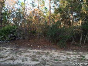 2335 Sheriff, Beverly Hills, FL 34465