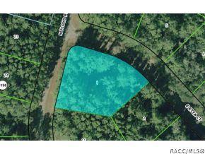 1342 E Etta Ct., Citrus Springs, FL 34434