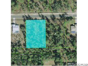 4798 W Geyser Ct., Beverly Hills, FL 34465