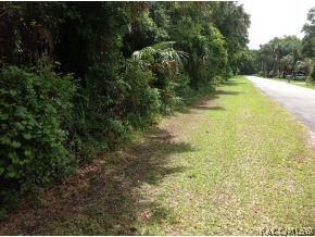 11569 W Indian Woods Cir., Crystal River, FL 34428